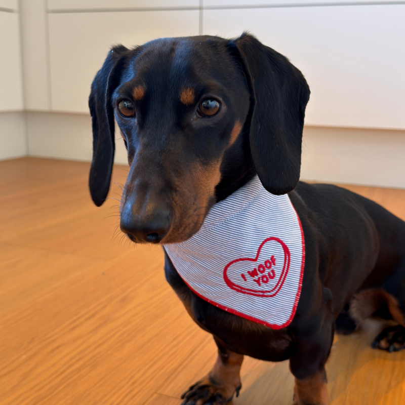 bandana till hund